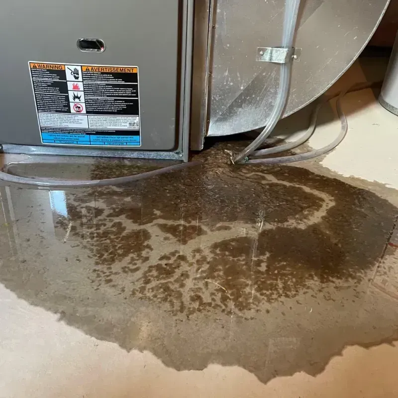 Appliance Leak Cleanup in Perryman, MD